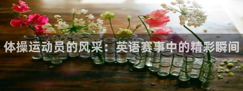 88体育节
