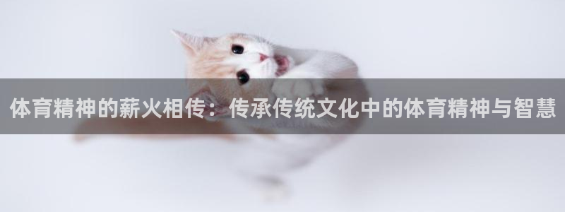88体育看球
