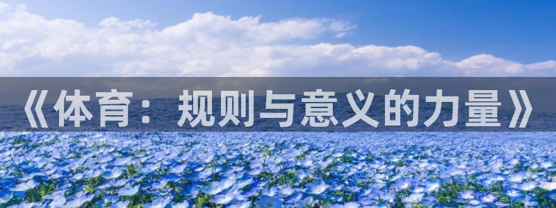 6688体育网页版